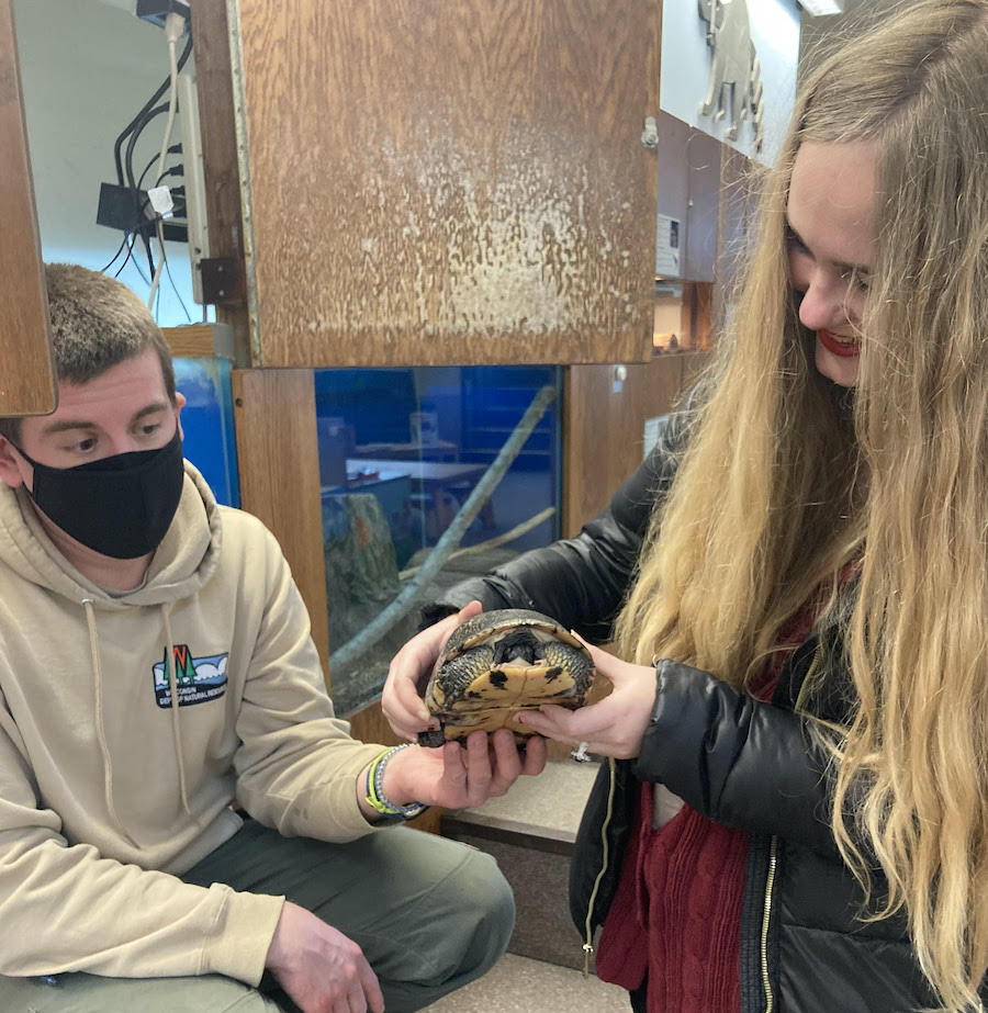 two participants hold a turtle