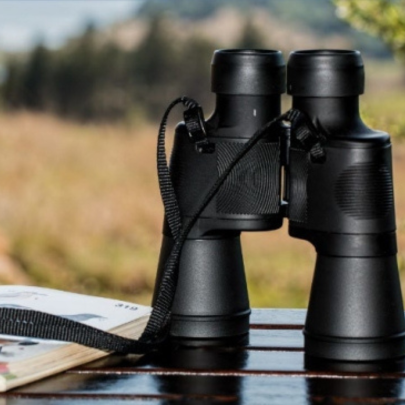 Photo of binoculars and a birding book with trees in the background