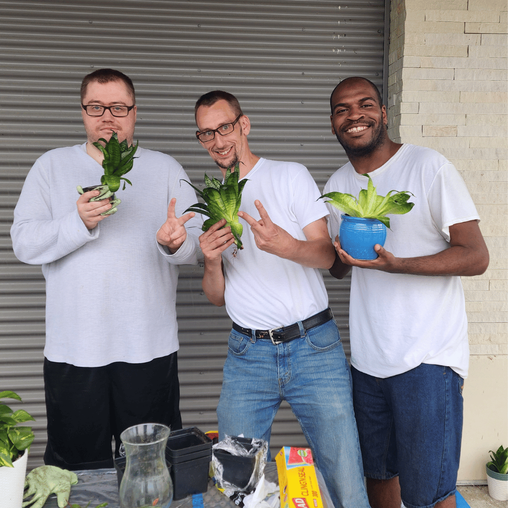 Three people pose for a photo holding green plants they are planting