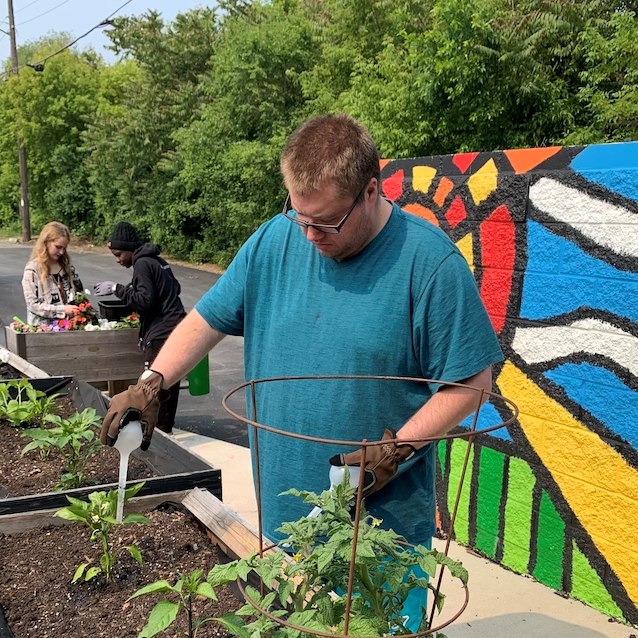 Three people plant and water vegetables and flowers