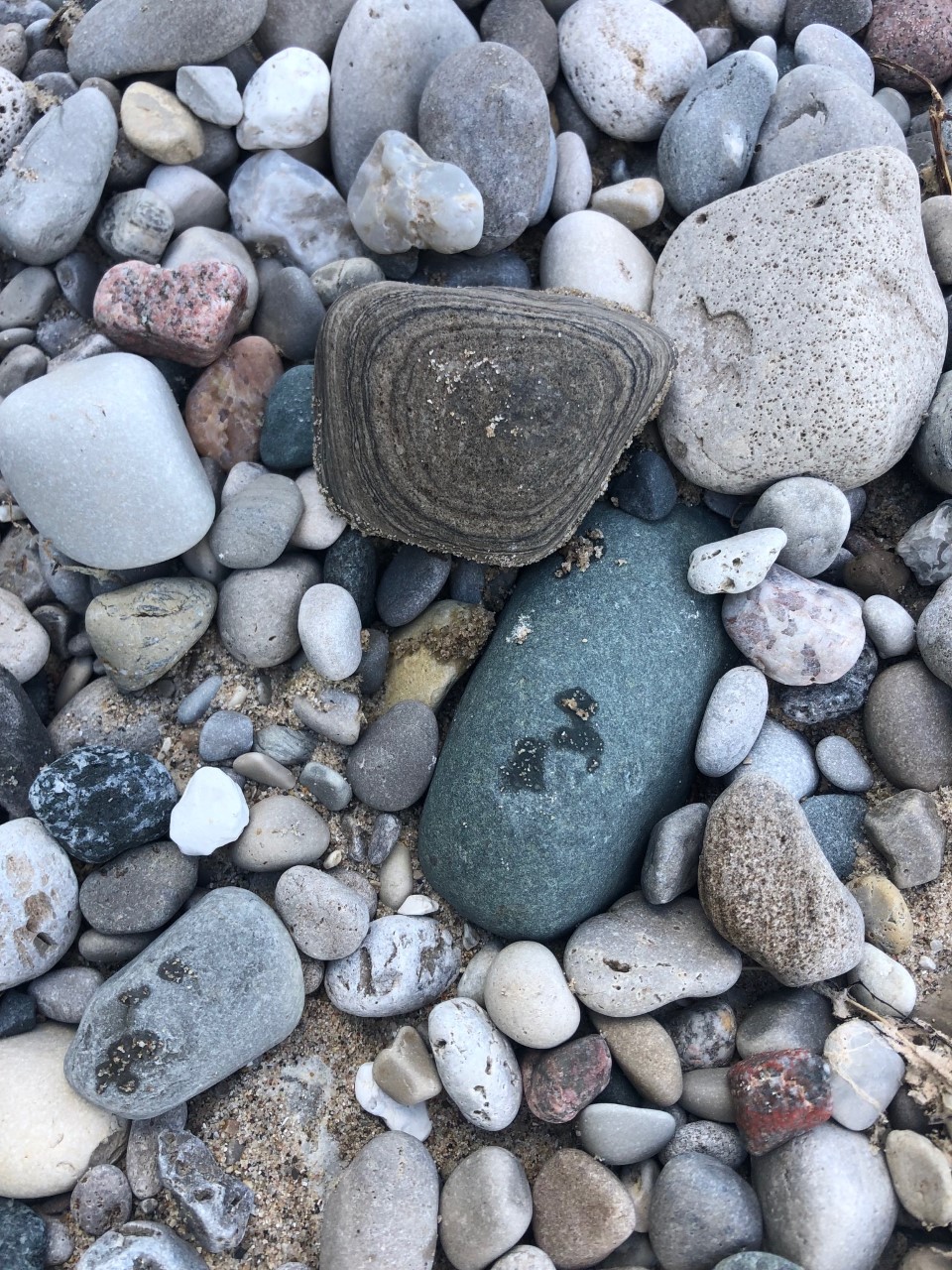 Rocks at Lions Den Gorge
