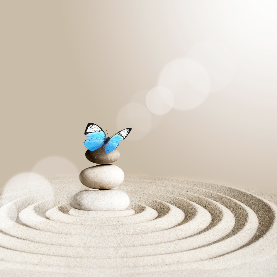 image of a zen garden with a blue butterfly